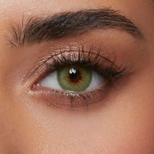 Aloe Green (1-Day)