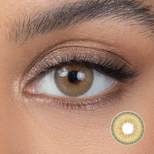 Burnt Butter Hazel (Trial)
