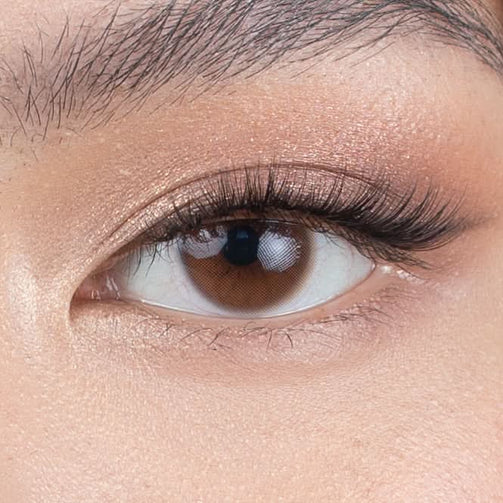 Manhattan Brown (3-Month)