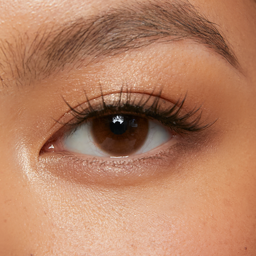 Manhattan Brown (1-Day)